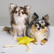 Kingdom Hearts Pets Rope Toy for Dog Paopu Fruit