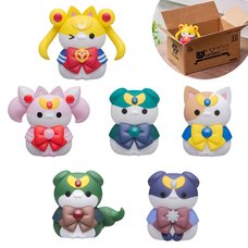 Mega Cat Project Pretty Guardian Sailor Moon Sailor Mewn Vol. 2 Box Set w/ Bonus Mini Carton