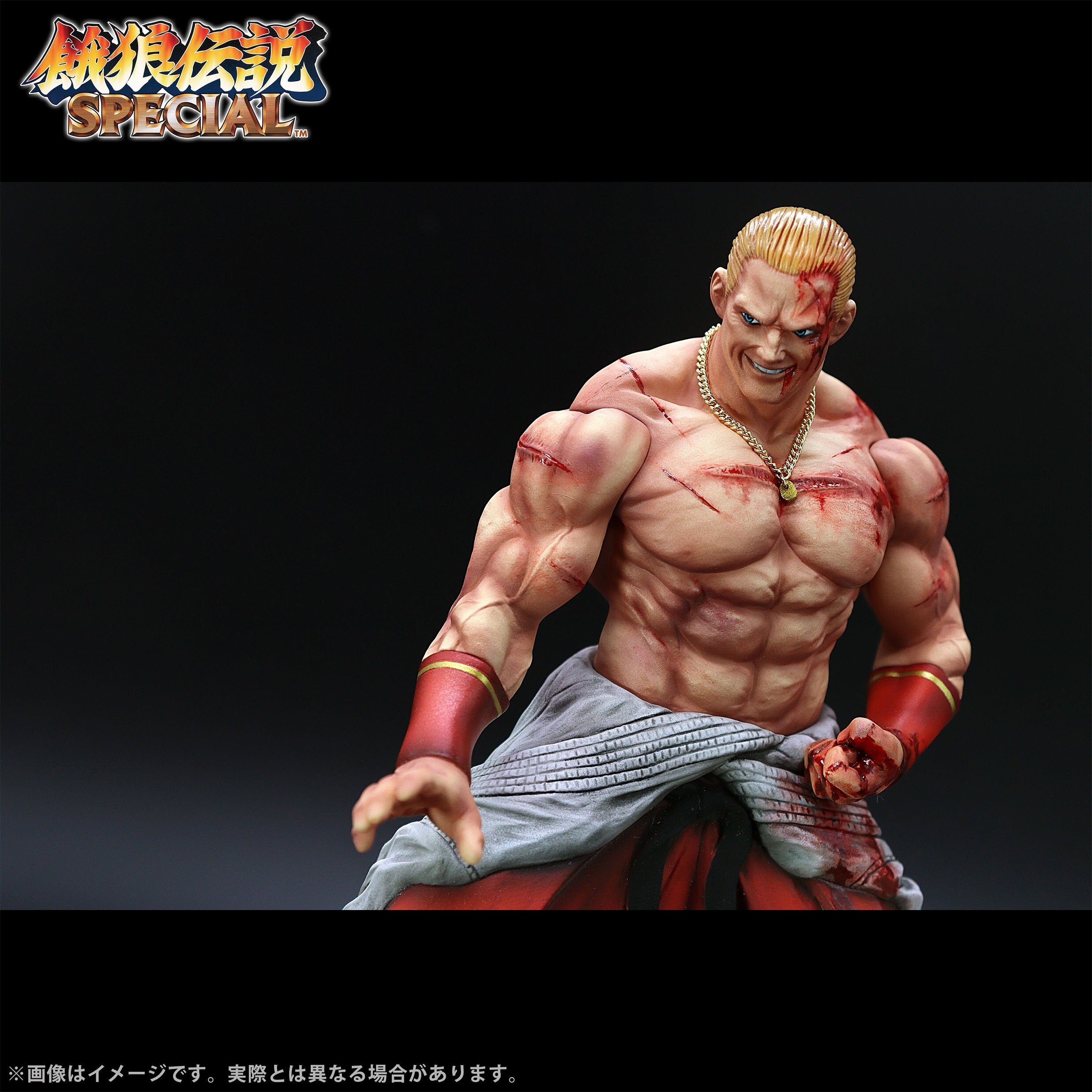 The King of Collectors '24 EX Fatal Fury Special Geese