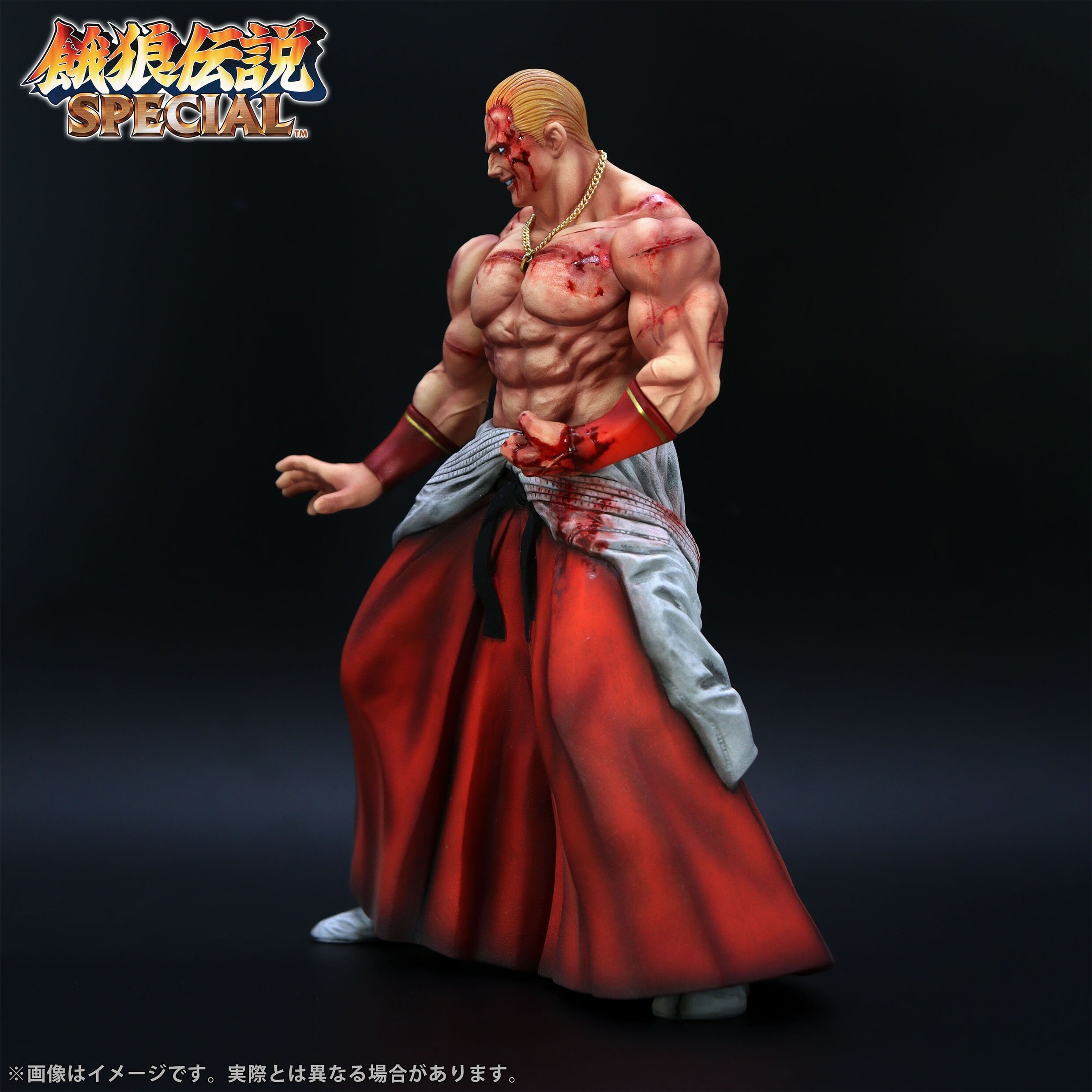 The King of Collectors '24 EX Fatal Fury Special Geese