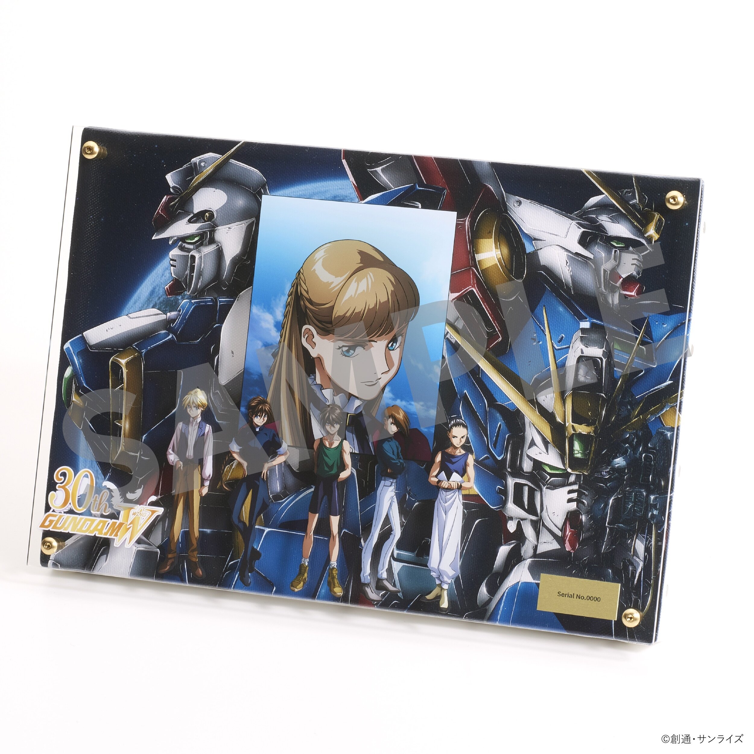 GUNDAM-W 、ENDLESS WALTZ　ＬDセット Mobile Suit Gundam W & Endless Waltz 30th Anniversary