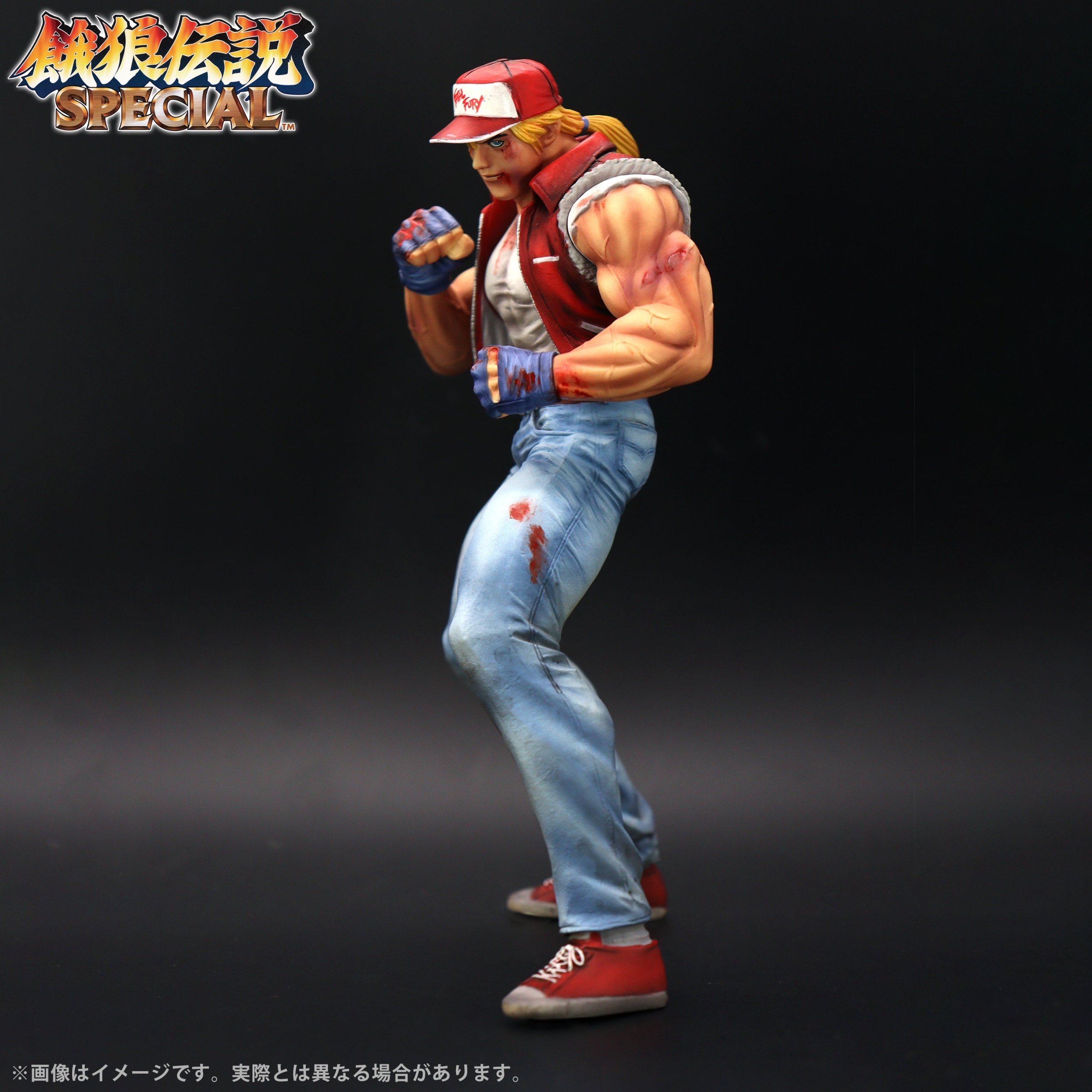 Fatal Fury Special the King of Collectors' 24 Ex - Terry Bogard Hg Damage Ver.