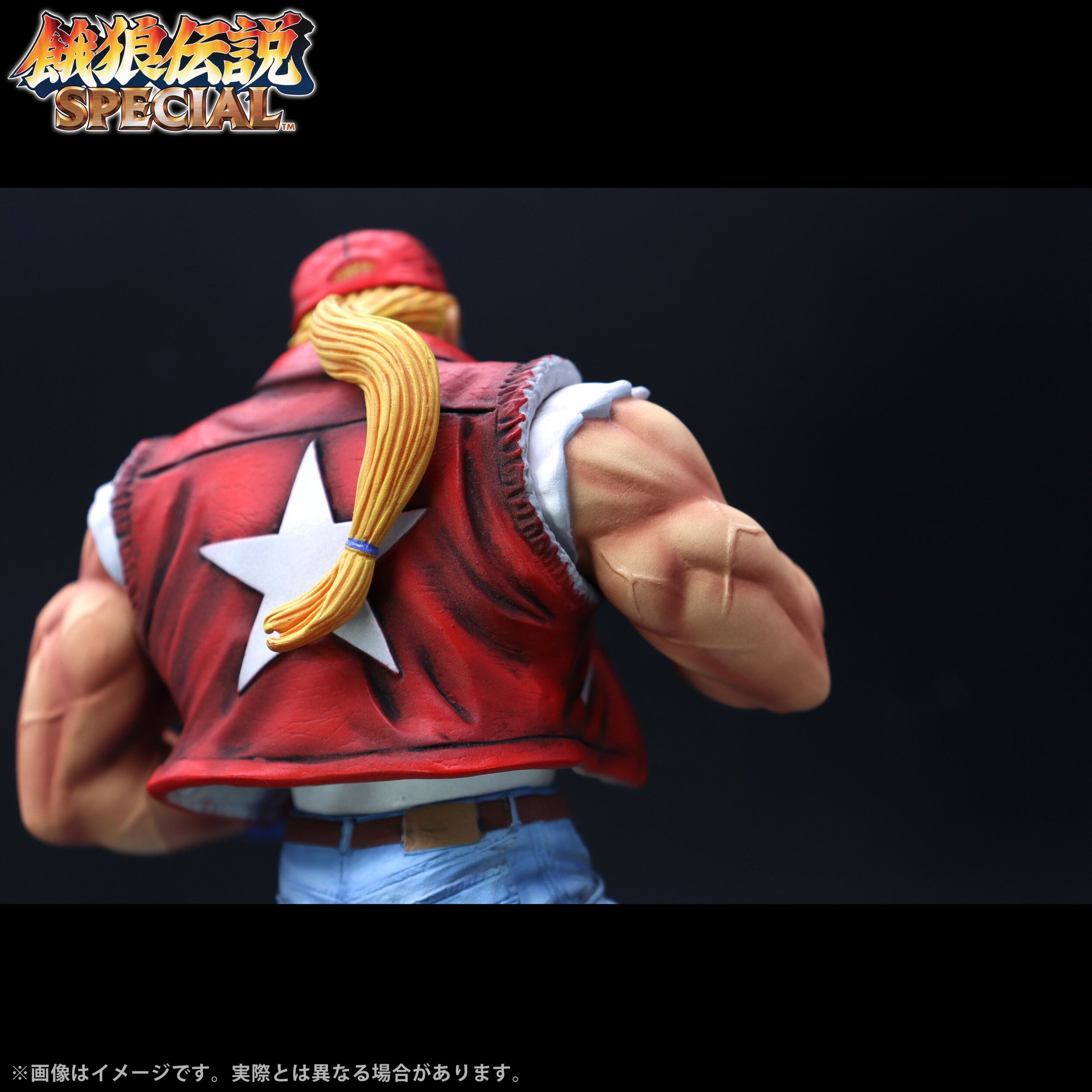 The King of Collectors '24 EX Fatal Fury Special Terry