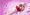 Sailor Moon&apos;s Pink Moon Stick Replica Open for Preorder 3