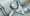 Eureka Seven Movie Unveils Brand New Trailer &amp; Poster! 3