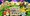 &copy; 2014 Pok&eacute;mon &copy; 1995-2014 Nintendo / Creatures Inc. / Game Freak Inc. Developed by MarvelousAQL Inc. &copy; Nintendo, Creatures Inc., Game Freak Inc, TV Tokyo Corporation, ShoPro, JR Kikaku  &copy; Pokemon&#12288; &copy; 2014 Pikachu Project