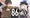 The Mecha Anime Mixed Bag