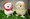 Makiba no Kids Alpacasso series