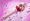 Sailor Moon&apos;s Pink Moon Stick Replica Open for Preorder