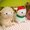 To be released next February, the Baby Alpacasso Love Berry series