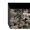 Limited Blood Blockade Battlefront Original Digital Camera May Become Available Through Dream Pass&#12288;&copy; Yasuhiro Nightow / Shueisha Inc., Blood Blockade Battlefront Production Committee