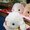 To release in November, Pote Usa Loppy Deka-koro Face