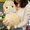 Makiba no Kids Alpacasso series