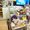 Shocking! Kotobukiya Akihabara - A Shop for Otaku [1/2] 18