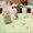 December release Alpacasso WakuWaku Party series