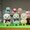 Makiba no Kids Alpacasso series