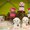 To be released next February, the Baby Alpacasso Love Berry series