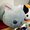 Tsuchineko Wagokoro series, set to release in November
