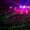 Vocaloid&rsquor;s Past, Present, and Future at Magical Mirai 2013 12