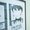 &copy;Masashi Scott Kishimoto / Shueisha Inc.