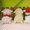 To be released next February, the Baby Alpacasso Love Berry series