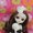 Focus: The Pullip Doll Series Keeps Getting Cuter and Cuter! 17