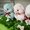 Makiba no Kids Alpacasso series