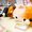 Mameshiba San Kyodai Tissue Covers