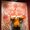 &copy;Masashi Scott Kishimoto / Shueisha Inc.