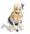Is Sena Teasing Kobato? Scale Figure of Sena from &amp;ldquo;I Have Few Friends NEXT&amp;rdquo; to Release This Autumn