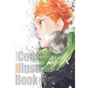 Haikyu!! Complete Illustration Book: Endings and Beginnings