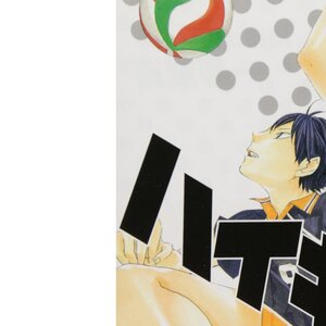 Haikyu!! Vol. 1