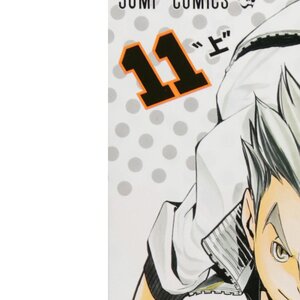 Haikyu!! Vol. 11