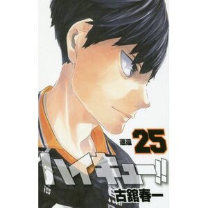 Haikyu!! Vol. 25