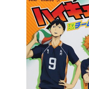 Haikyu!! TV Anime Team Book Vol. 1: Karasuno High School Volleyball Club Edition