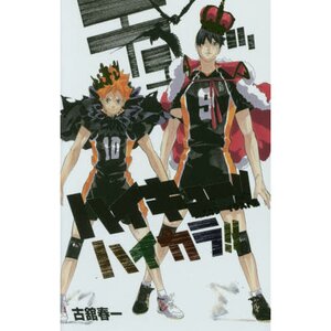 HaiColor!!: Haikyu!! Color Illustration Collection