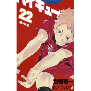 Haikyu!! Vol. 22