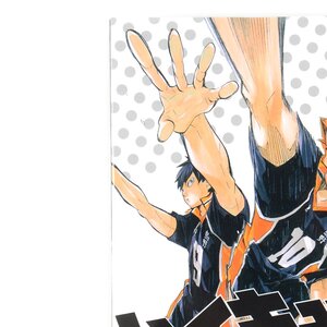 Haikyu!! Complete Guide Book