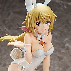 Charlotte Dunois: Swimsuit Ver.