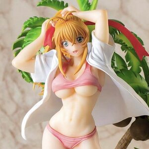 Ikki Tousen Full Color Version Hakufu Sonsaku Edition - Tokyo Otaku Mode  (TOM)