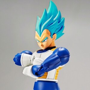 Super Saiyan Blue VEGETA FINAL FLASH!