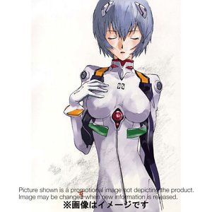 evangelion calendar | TOM Shop: Figures & Merch From Japan