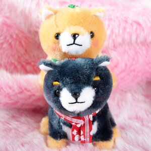 Ichi Ni no Corgi Dog Plush Collection (Big): Amuse - Tokyo Otaku Mode (TOM)