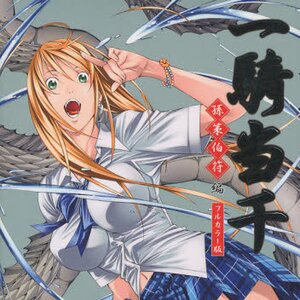 Ikki Tousen Animation Art Works Vol.2 - Tokyo Otaku Mode (TOM)