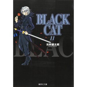 Black Cat Vol. 11: Kentaro Yabuki 100% OFF - Tokyo Otaku Mode (TOM)