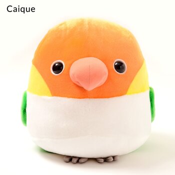 caique plush