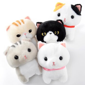 munchkin cat plush