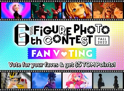 Photo Contest Voting