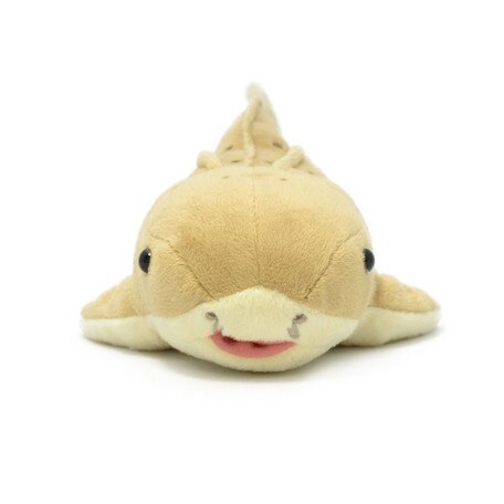 Zebra discount shark plush