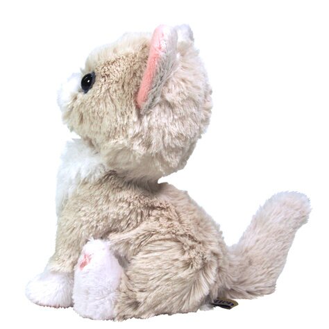 plush ragdoll